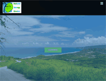 Tablet Screenshot of naturalenergycentre.com